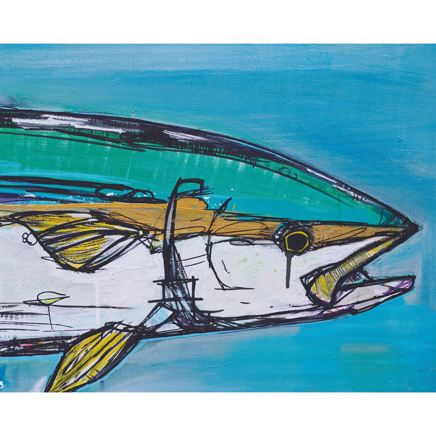  California Yellowtail Fish Art Print 